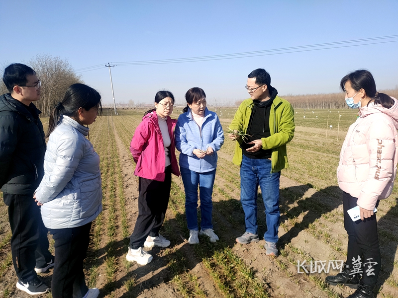 NG体育-河北科技克服剧悔战胜太宁联城，逆袭重返前列